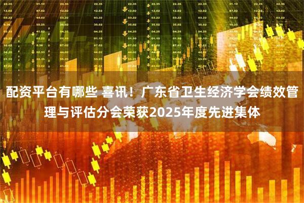配资平台有哪些 喜讯！广东省卫生经济学会绩效管理与评估分会荣获2025年度先进集体